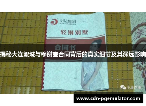 揭秘大连鲲城与穆谢奎合同背后的真实细节及其深远影响