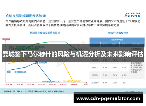 曼城签下马尔穆什的风险与机遇分析及未来影响评估