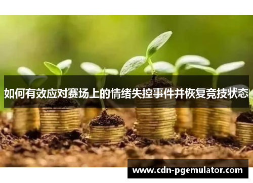 如何有效应对赛场上的情绪失控事件并恢复竞技状态