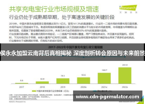侯永永加盟云南背后真相揭秘 深度剖析转会原因与未来前景