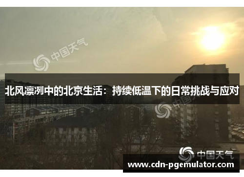 北风凛冽中的北京生活：持续低温下的日常挑战与应对