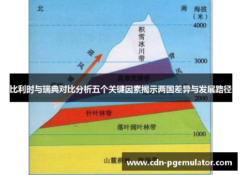 比利时与瑞典对比分析五个关键因素揭示两国差异与发展路径