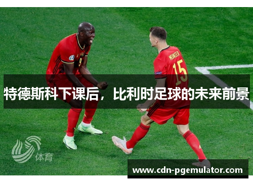 特德斯科下课后，比利时足球的未来前景