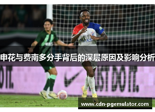 申花与费南多分手背后的深层原因及影响分析