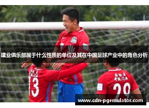 建业俱乐部属于什么性质的单位及其在中国足球产业中的角色分析 建业俱乐部属于什么性质的单位及其在中国足球产业中的角色分析