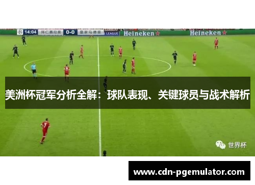 美洲杯冠军分析全解：球队表现、关键球员与战术解析