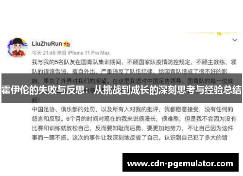 霍伊伦的失败与反思：从挑战到成长的深刻思考与经验总结