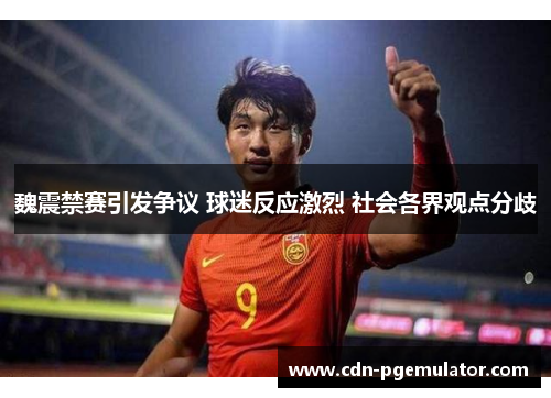 魏震禁赛引发争议 球迷反应激烈 社会各界观点分歧