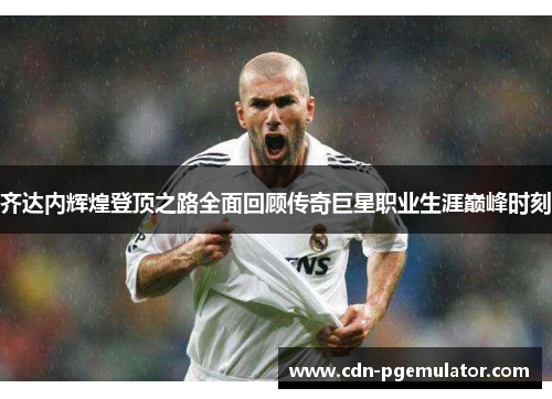 齐达内辉煌登顶之路全面回顾传奇巨星职业生涯巅峰时刻