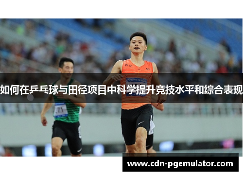 如何在乒乓球与田径项目中科学提升竞技水平和综合表现