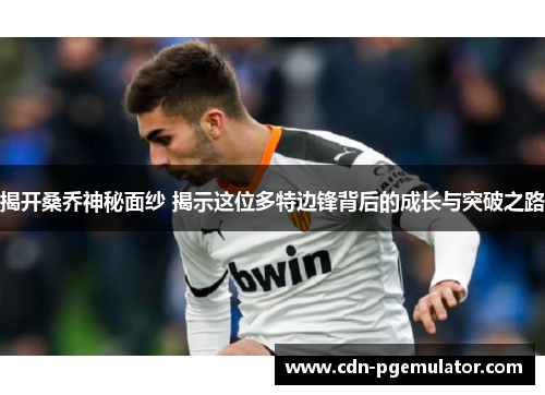 揭开桑乔神秘面纱 揭示这位多特边锋背后的成长与突破之路