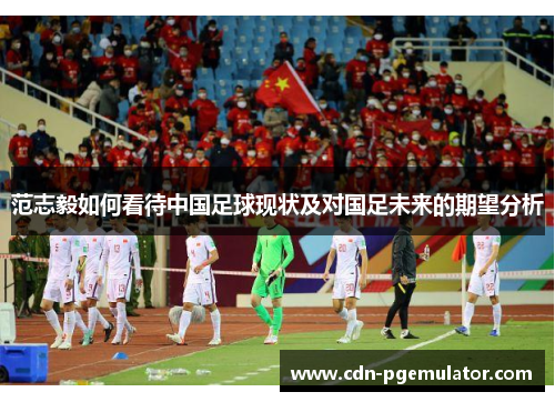 范志毅如何看待中国足球现状及对国足未来的期望分析