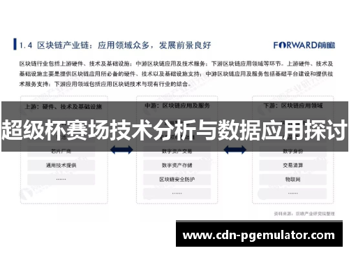 超级杯赛场技术分析与数据应用探讨