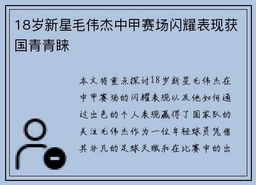 18岁新星毛伟杰中甲赛场闪耀表现获国青青睐