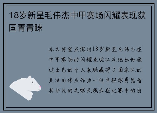 18岁新星毛伟杰中甲赛场闪耀表现获国青青睐