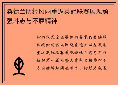 桑德兰历经风雨重返英冠联赛展现顽强斗志与不屈精神