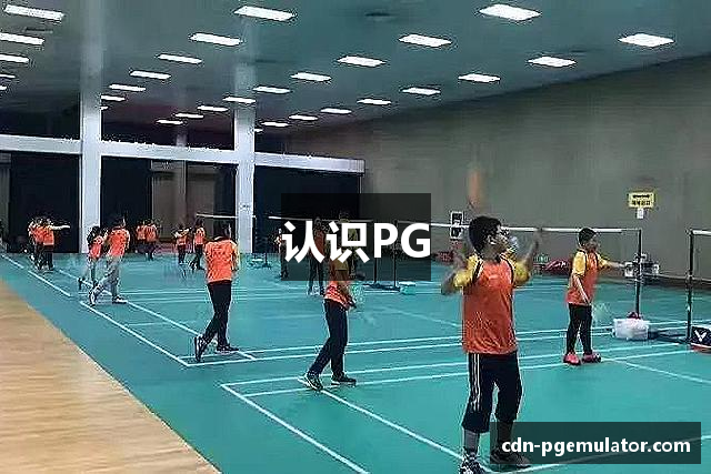 认识PG